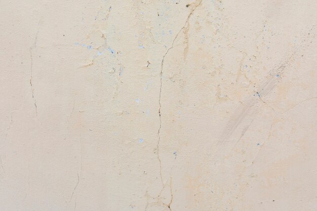 Cement surface with cracks