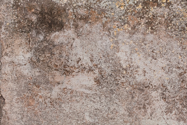 Free photo cement texture