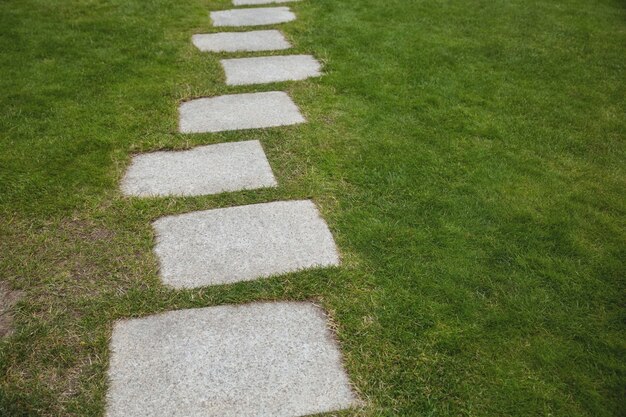 Cement walkway in the garden