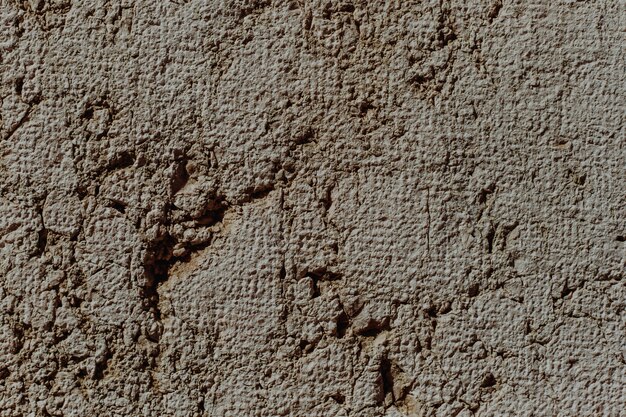 Cement wall close-up