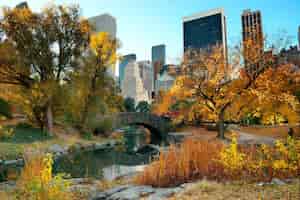 Foto gratuita central park autunno ed edifici nel centro di manhattan new york city