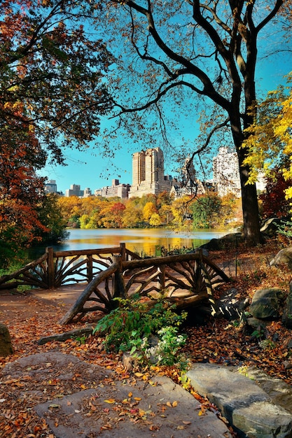 免费照片中央公园秋天和纽约曼哈顿市中心的建筑物