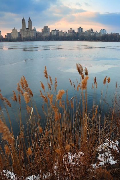 Foto gratuita central park al tramonto, new york city