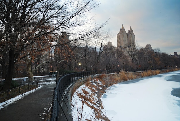 Бесплатное фото Центральный парк, нью-йорк