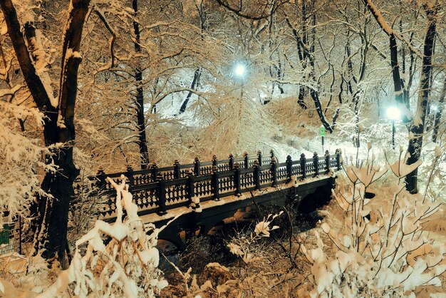 ニューヨーク市マンハッタンのミッドタウンにあるセントラルパークの冬の橋