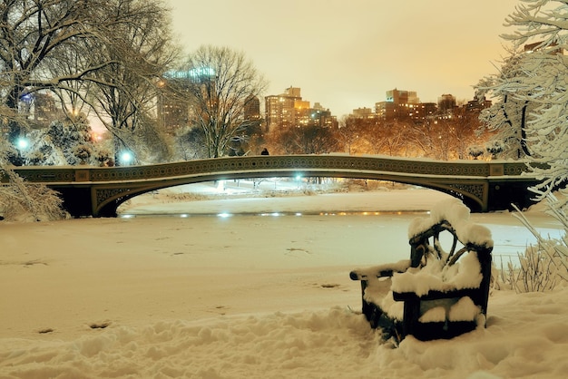 Central park inverno con lago ghiacciato e sedia di notte nel centro di manhattan new york city