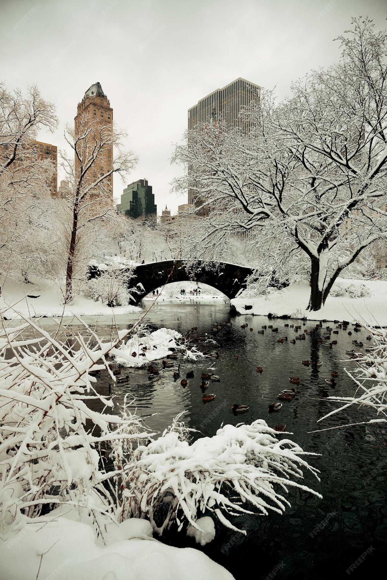 New York Snow Images - Free Download on Freepik New York Snow Images - Free Download on Freepik