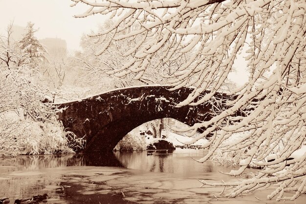 Зима Центрального парка с каменным мостом в центре Манхэттена Нью-Йорка