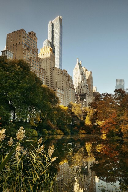 Центральный парк с утренним ярким солнечным светом и городскими небоскребами осенью в Нью-Йорке.