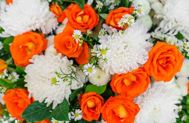 Цветущий церемониальный цветок оранжевый