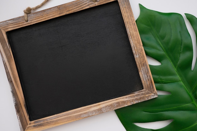 Chalkboard and leaf