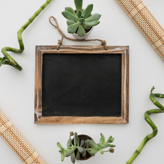 Chalkboard presentation with bamboo