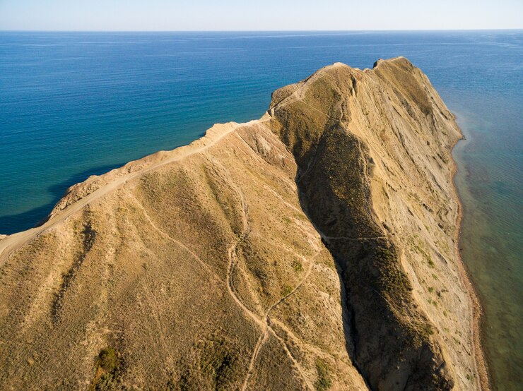 Free Photo chameleon peninsula in crimea