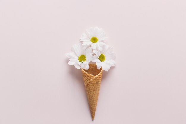 Chamomiles in ice-cream cone