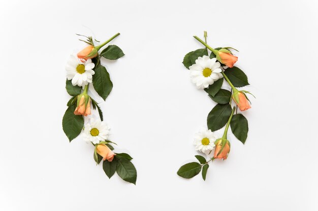 Chamomiles and roses on leaves