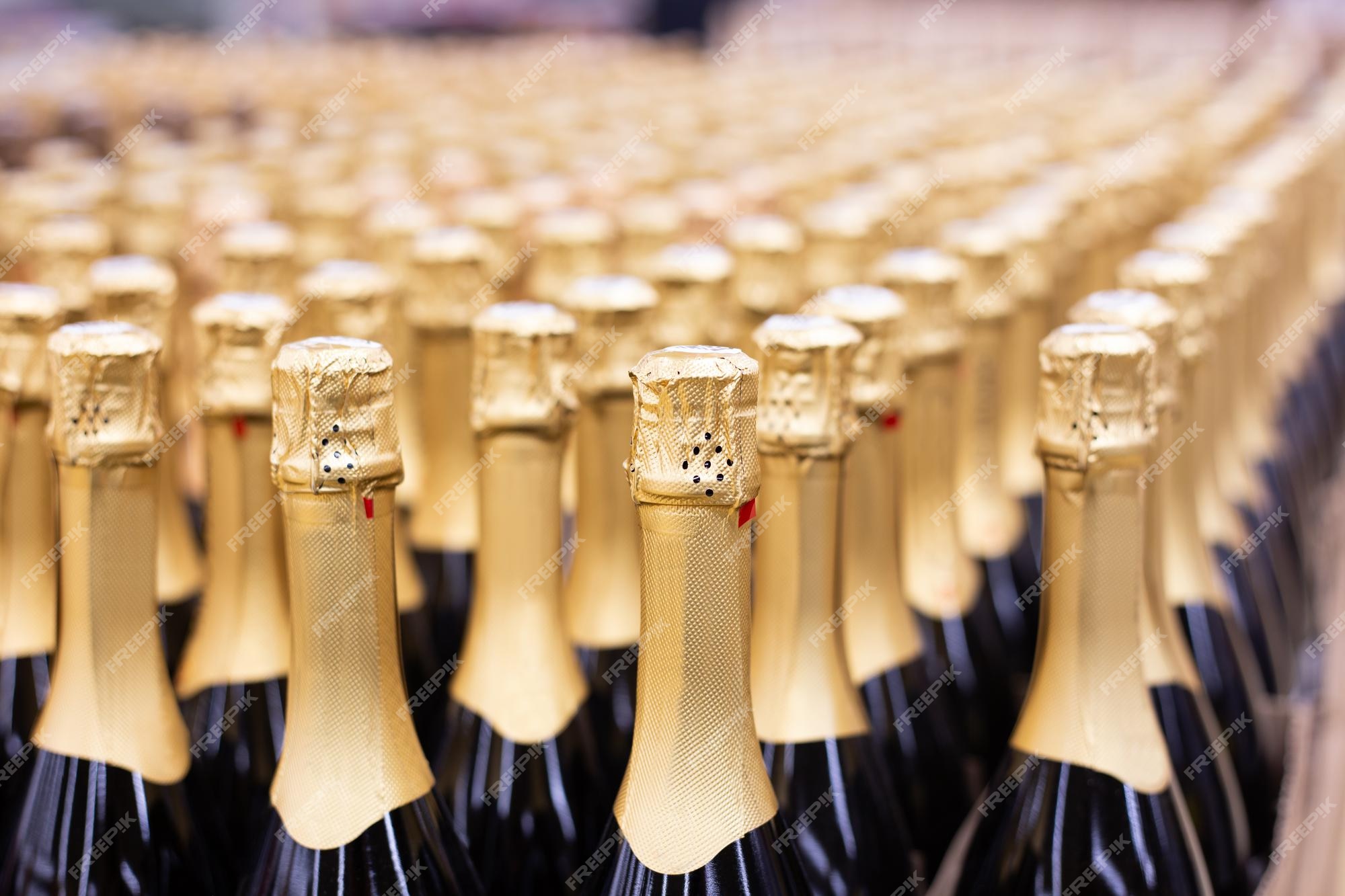 champagne-bottles-rows-store-festive-alcoholic-drink_326821-1683.jpg