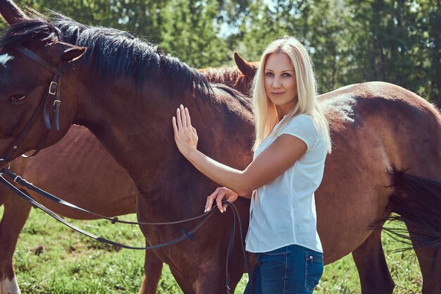 Charming beautiful blonde wearing a white blouse and jeans standing with a horse in a countryside.