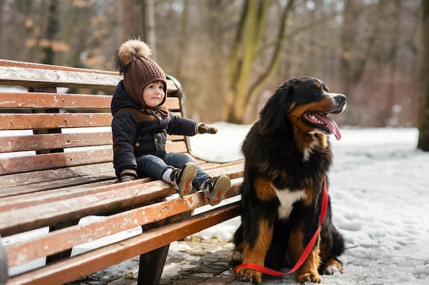 Free photo charming little boy sits on the bench with a bernese mountain dog