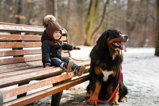 Charming little boy sits on the bench with a Bernese Mountain Dog