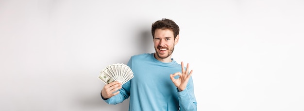 Free photo cheeky smiling man winking showing ok sign and holding money concept of fast loan or credit standing