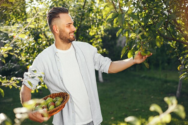 庭に有機リンゴを持つ陽気な農家。籐のかごの中の緑色の果物。