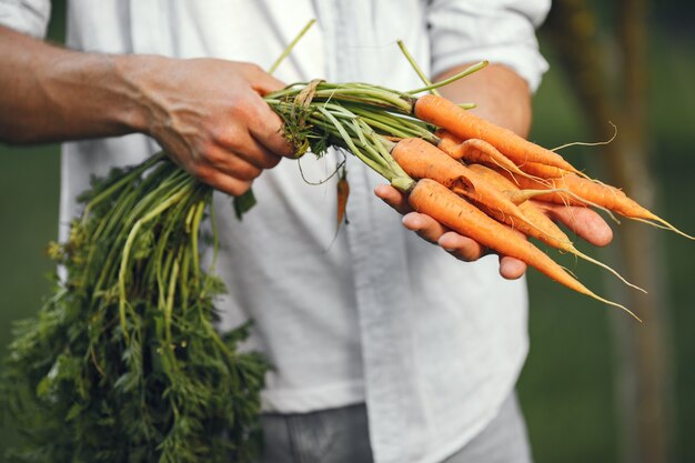 Cheerful farmer with organic vegetables in garden. Organic carrot  in man's hands.
