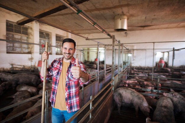 Веселый фермер с вилами стоит в загоне для свиней и заботится о домашних животных свиньях