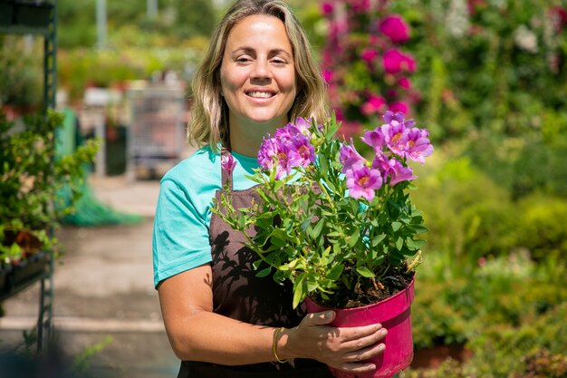 温室の中を歩き、鉢植えの顕花植物を持って、目をそらし、笑顔で陽気な女性の花屋。ミディアムショット、正面図。ガーデニングの仕事や植物学の概念