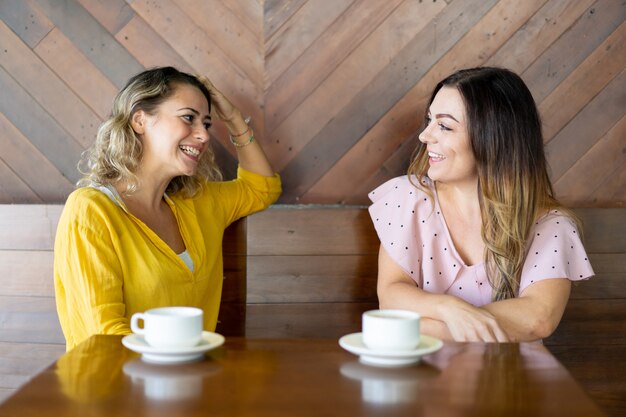 Cheerful female friends chatting in cafe