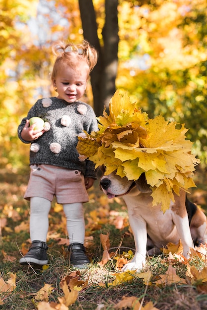 Cheerful girl looking at beagle dog wearing autumn leafs in forest