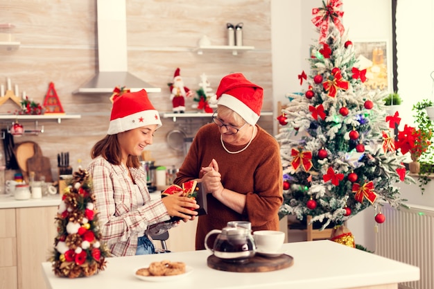 Cheerful granny and niece enjoing christmas celebration