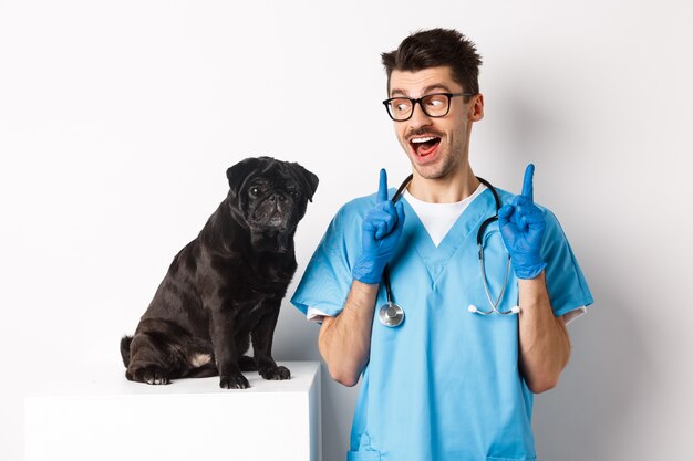 수술복을 입은 쾌활한 잘생긴 수의사는 귀여운 강아지 퍼그를 행복하게 쳐다보며 웃고, 프로모션 제안을 손가락으로 가리키며, 흰색 배경