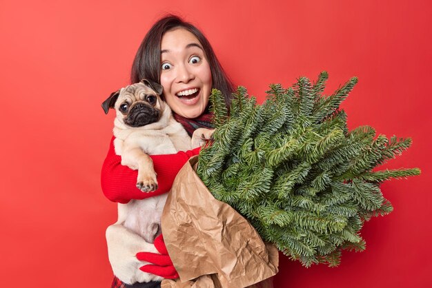 Cheerful optimistic female pet lover embraces pug dog with love holds green spruce branches wrapped in paper enjoys winter time isolated over vivid red background People domestic animals concept