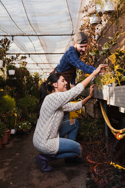 Cheerful people taking care of plants