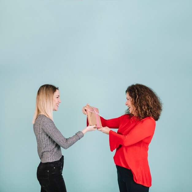 Cheerful woman giving present to mom