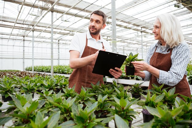 フォルダーと彼女の同僚に植物を示す陽気な女性