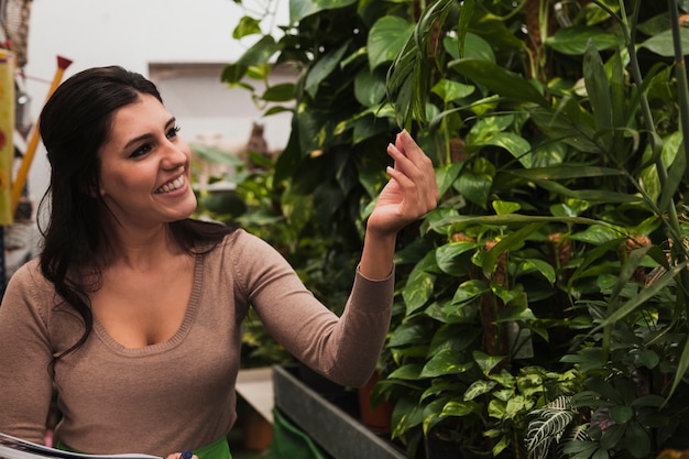 Cheerful woman touching plants