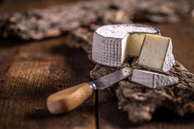 Cheese of camembert