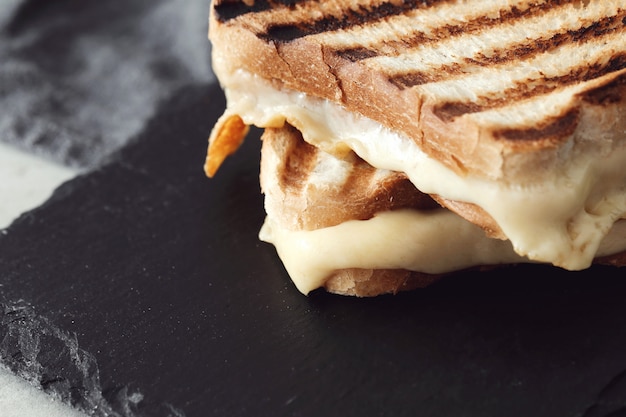 The Most Famous and Common Sandwich in the USA