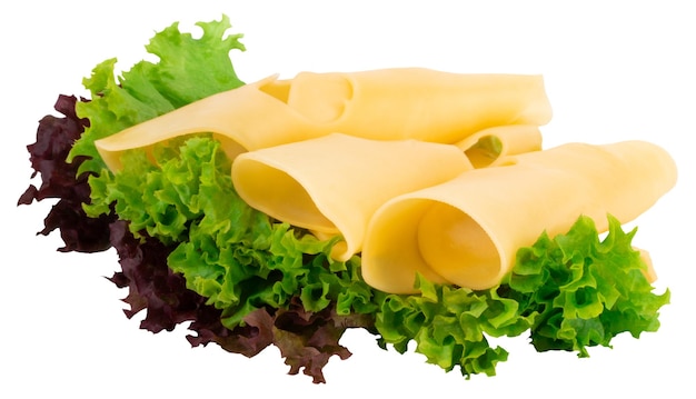 흰 배경에 분리된 치즈 조각과 신선한 녹색 양상추.