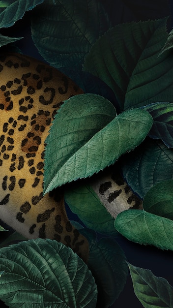 Cheetah on a leafy background