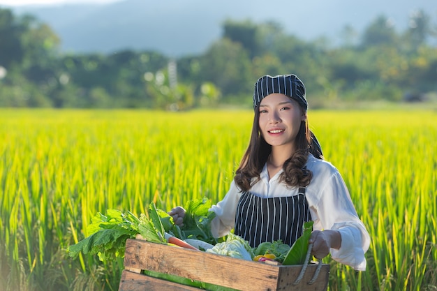 Chef harvesting fresh produce off organic farm