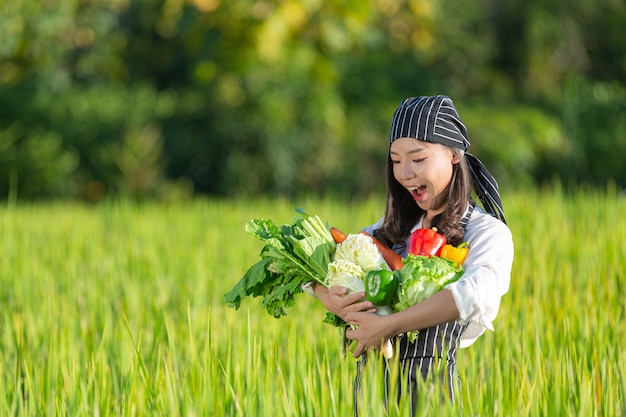 有機農場から新鮮な農産物を収穫するシェフ