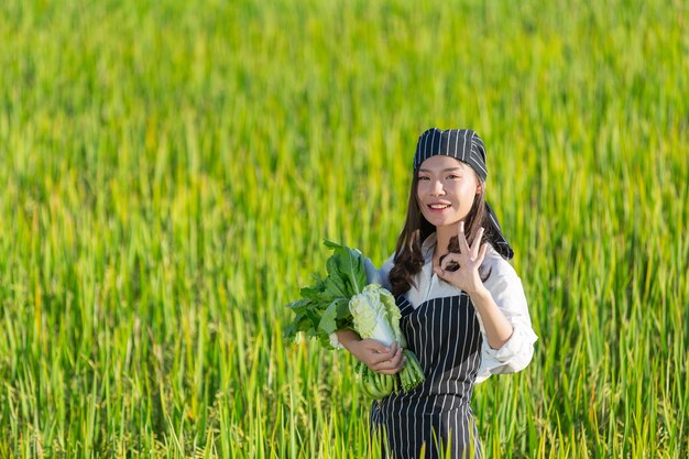 有機農場から新鮮な農産物を収穫するシェフ