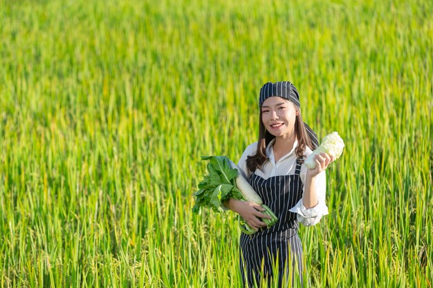 有機農場から新鮮な農産物を収穫するシェフ