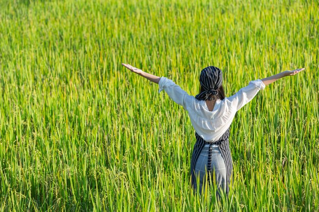 有機農場から新鮮な農産物を収穫するシェフ