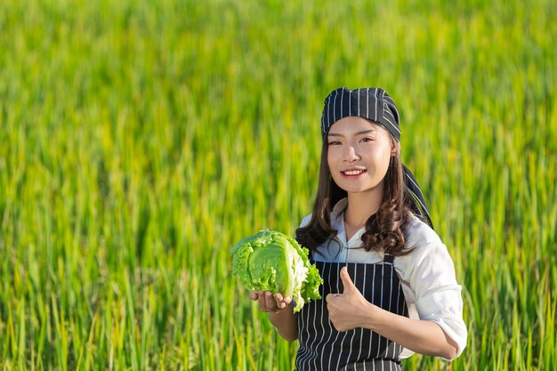 有機農場から新鮮な農産物を収穫するシェフ