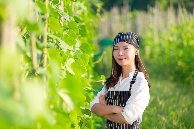 무료 사진 유기 농장에서 신선한 농산물을 수확하는 요리사