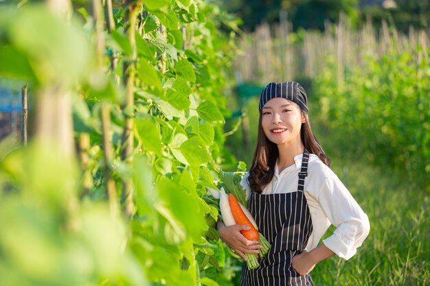 유기 농장에서 신선한 농산물을 수확하는 요리사