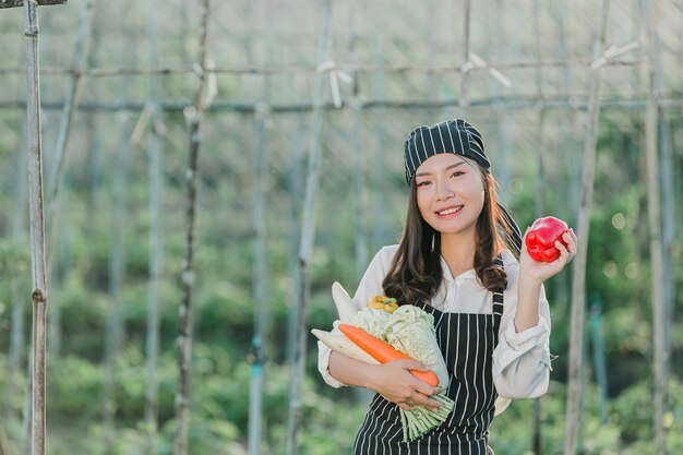 유기 농장에서 신선한 농산물을 수확하는 요리사